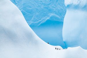 Drake Passage Iceberg